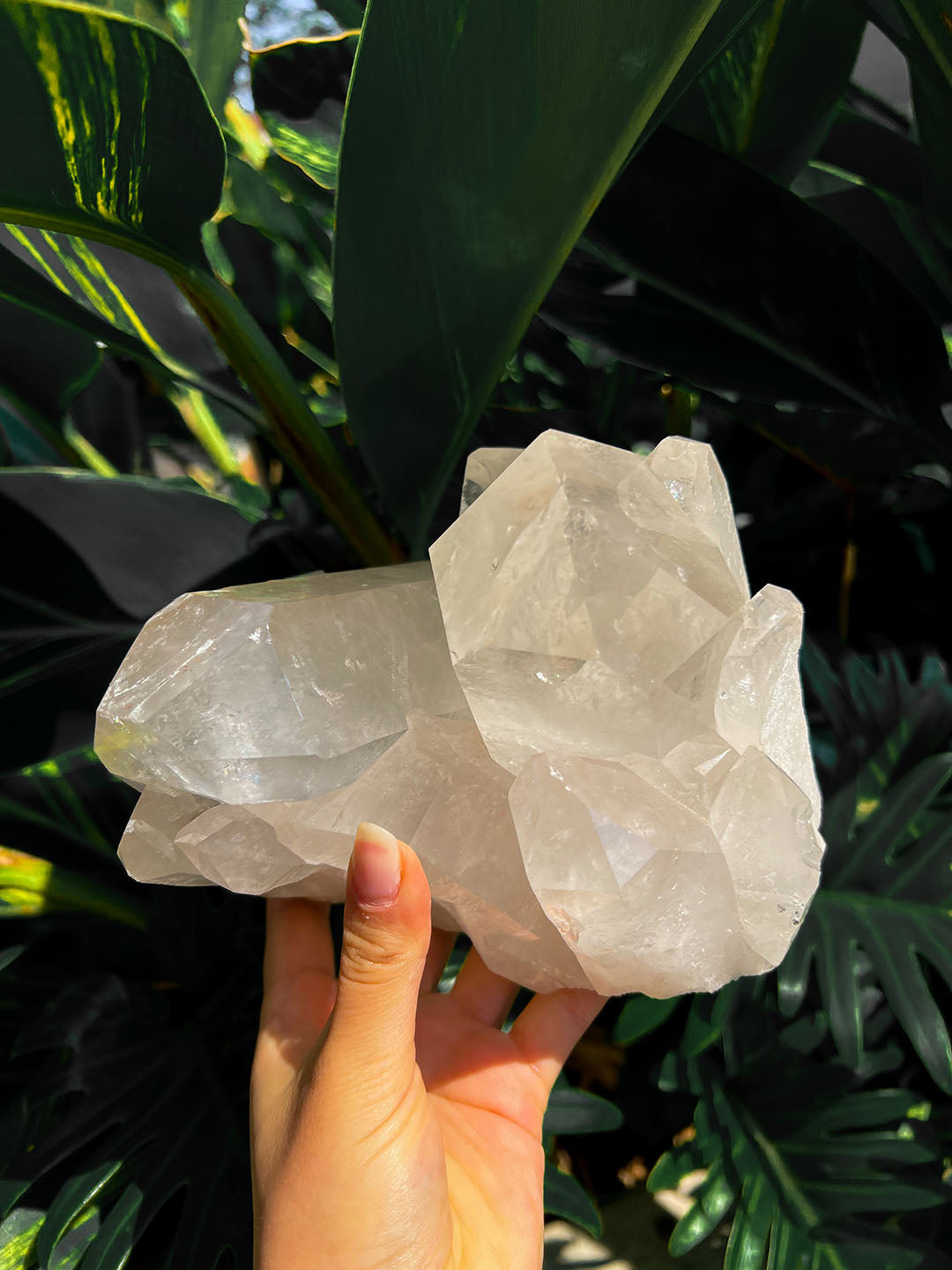 Clear Quartz Cluster