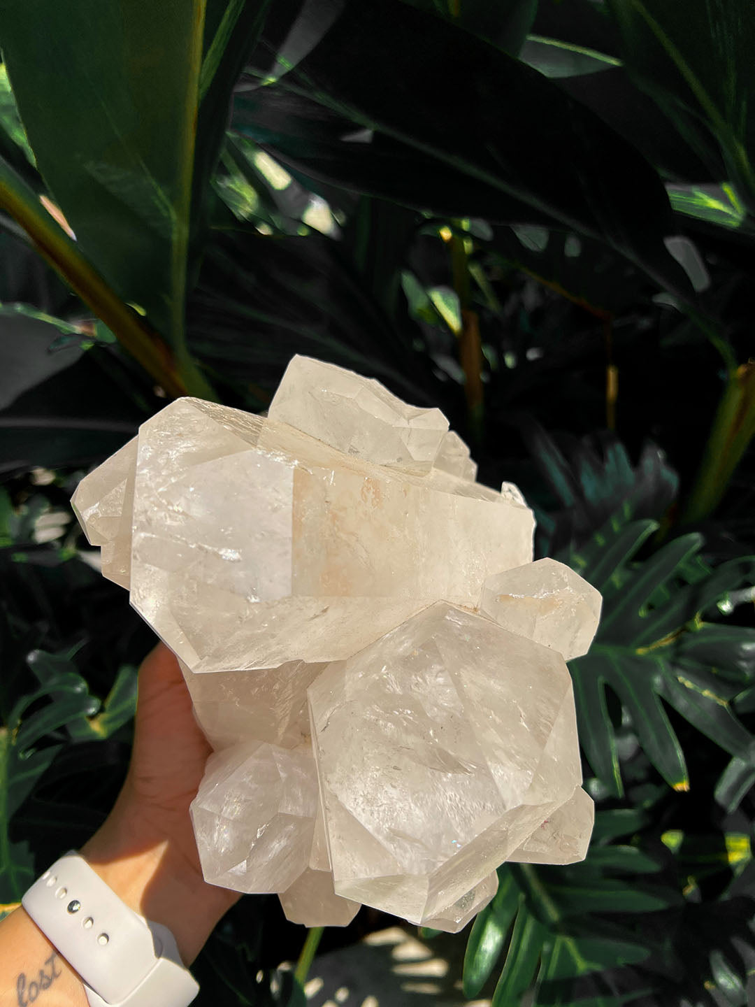 Clear Quartz Cluster