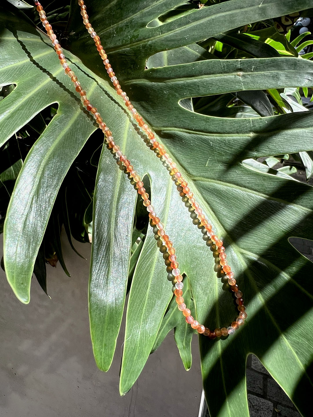 Carnelian Waterproof Choker