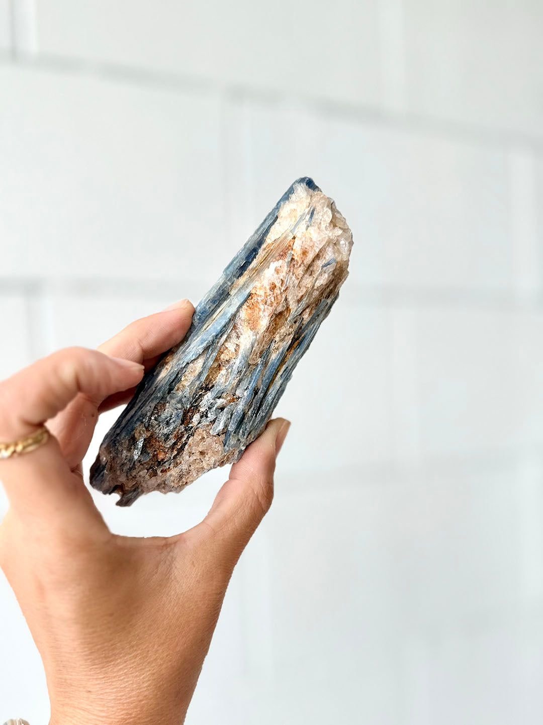 Blue Kyanite with Clear Quartz COD02