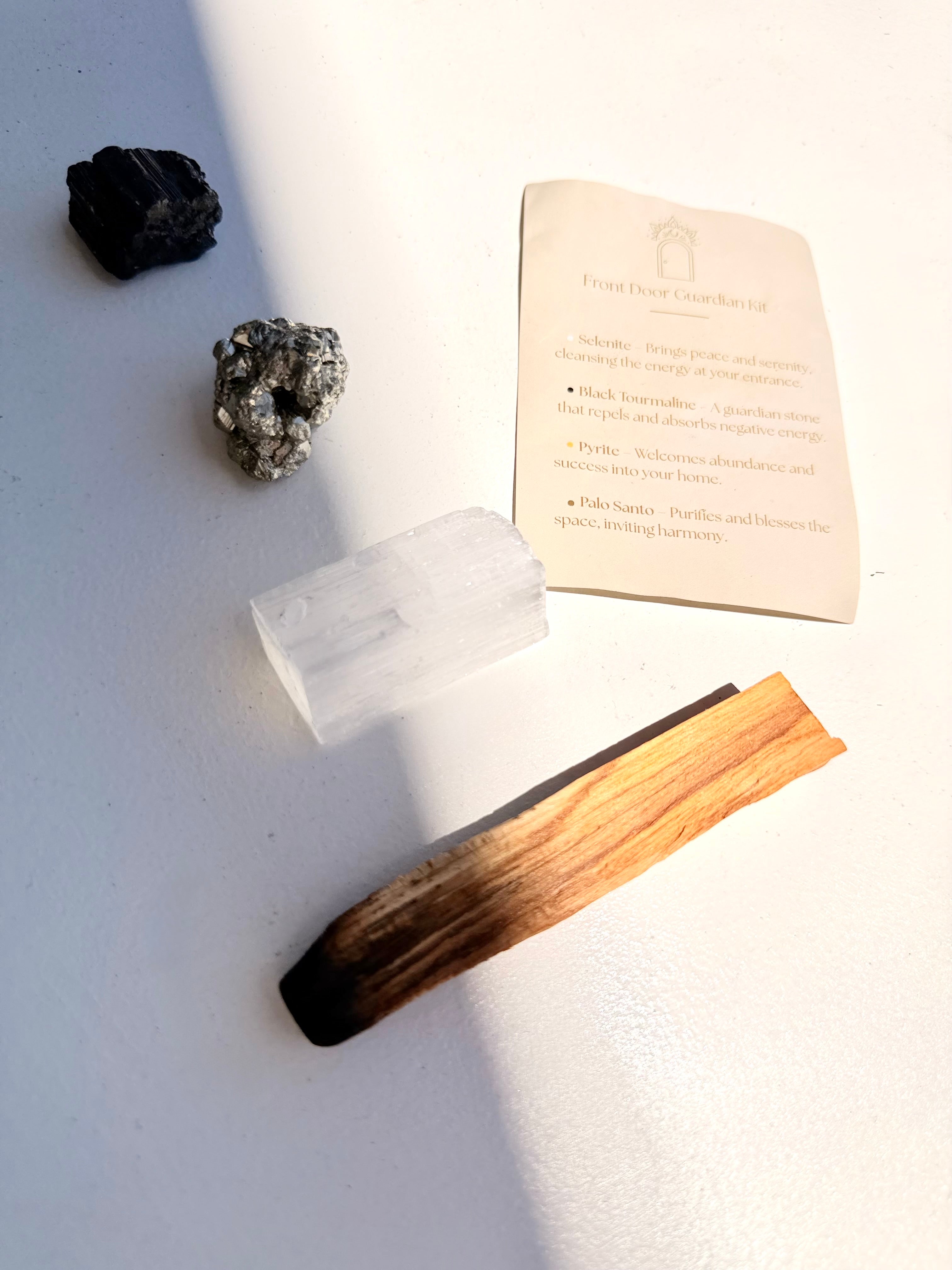 Front Door Guardian Kit