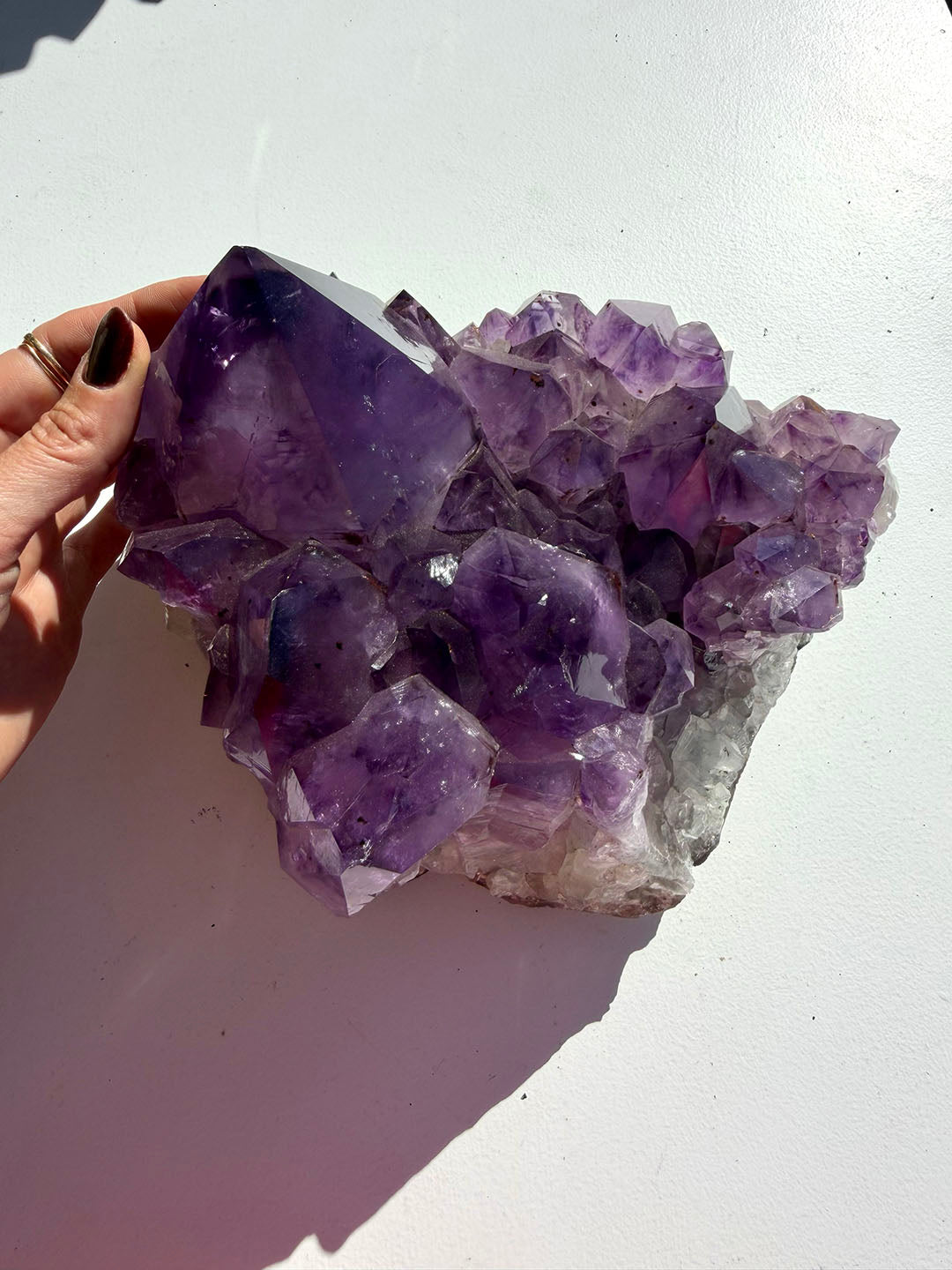 Large Amethyst Cluster