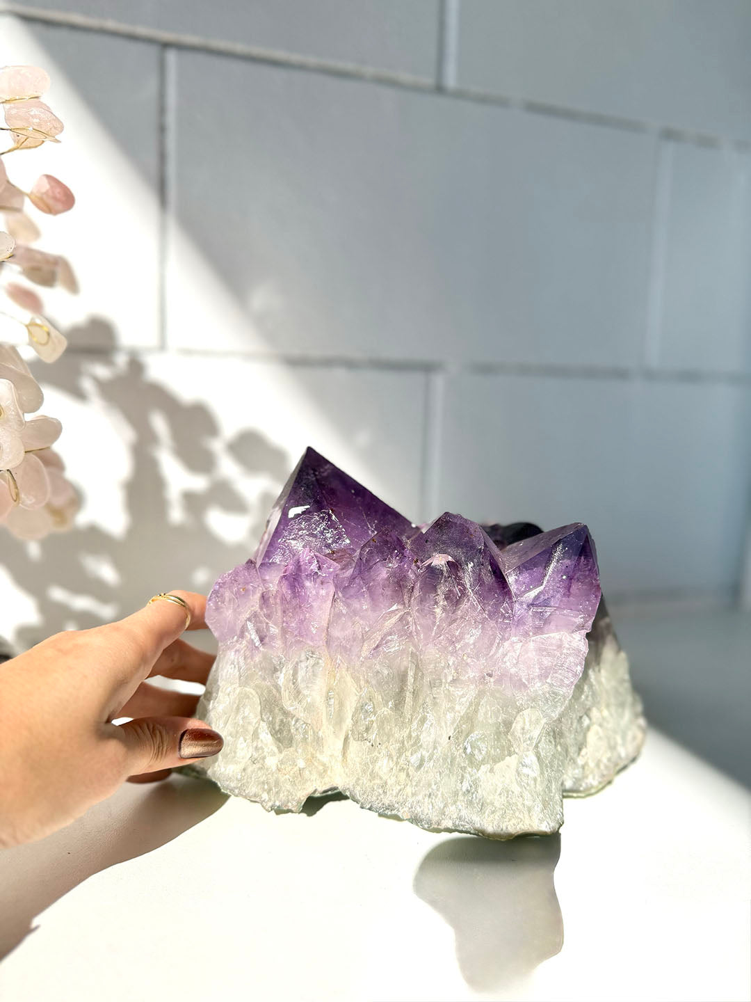 Large Amethyst Cluster