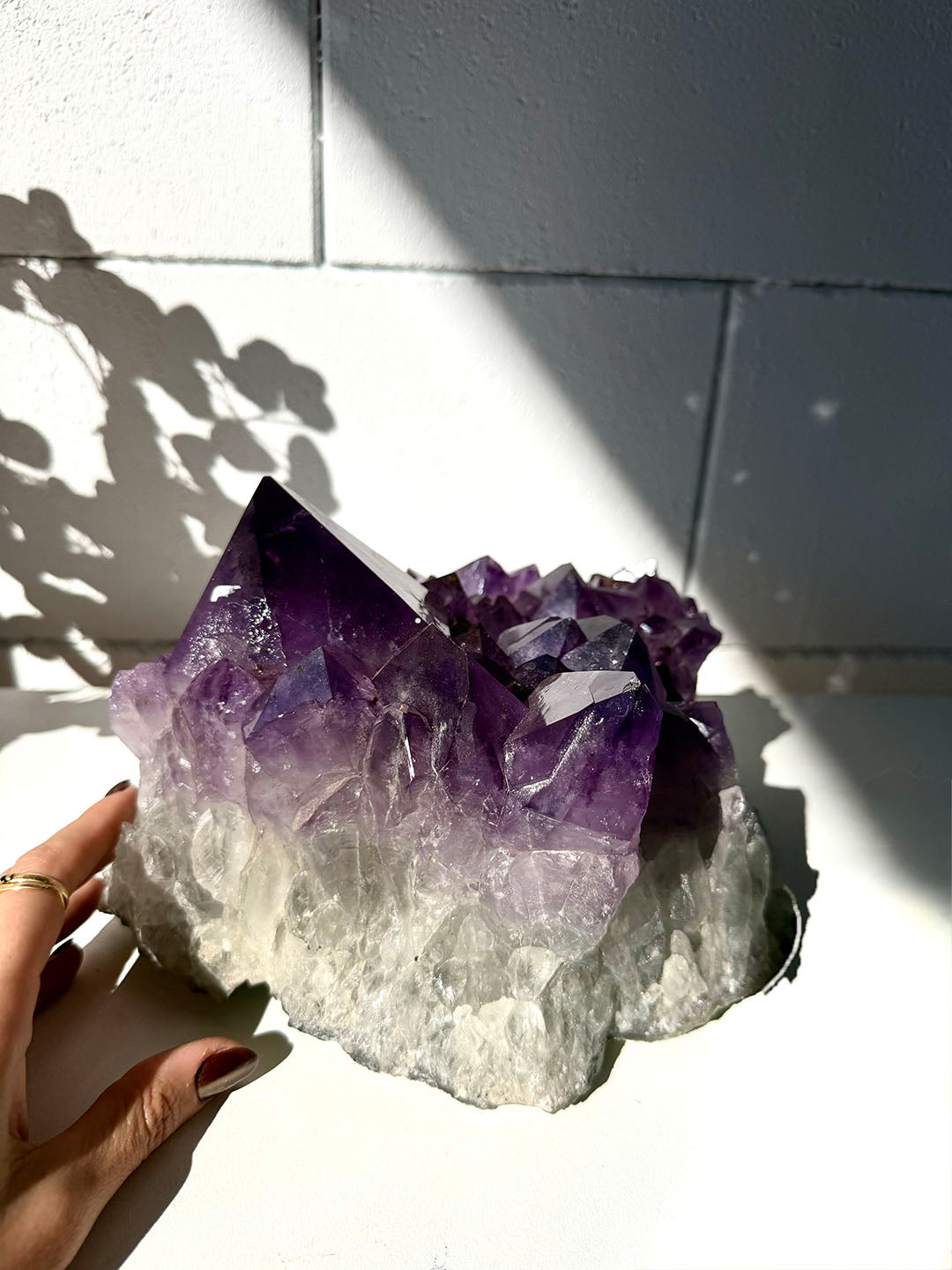 Large Amethyst Cluster