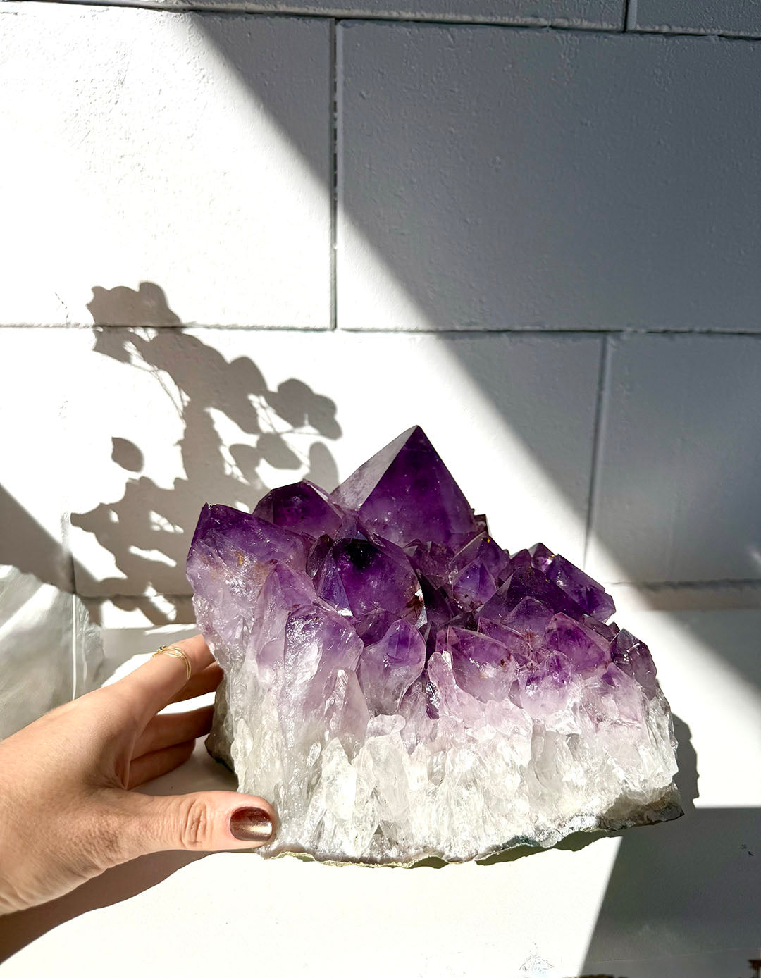 Large Amethyst Cluster