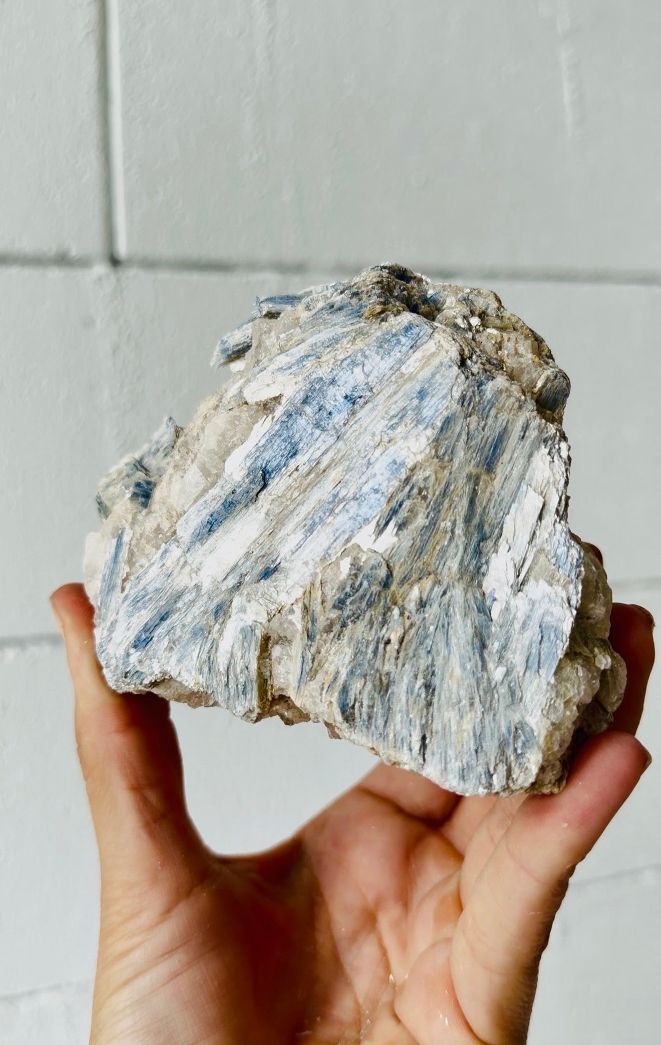 Blue Kyanite COD01