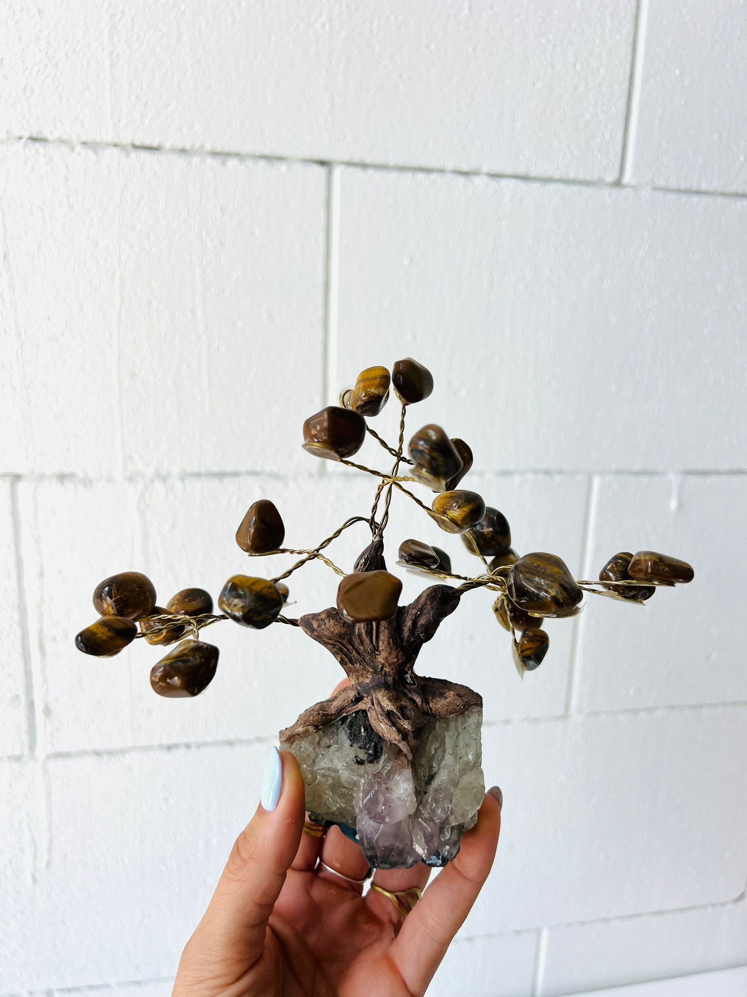 Tiger's Eye Tree