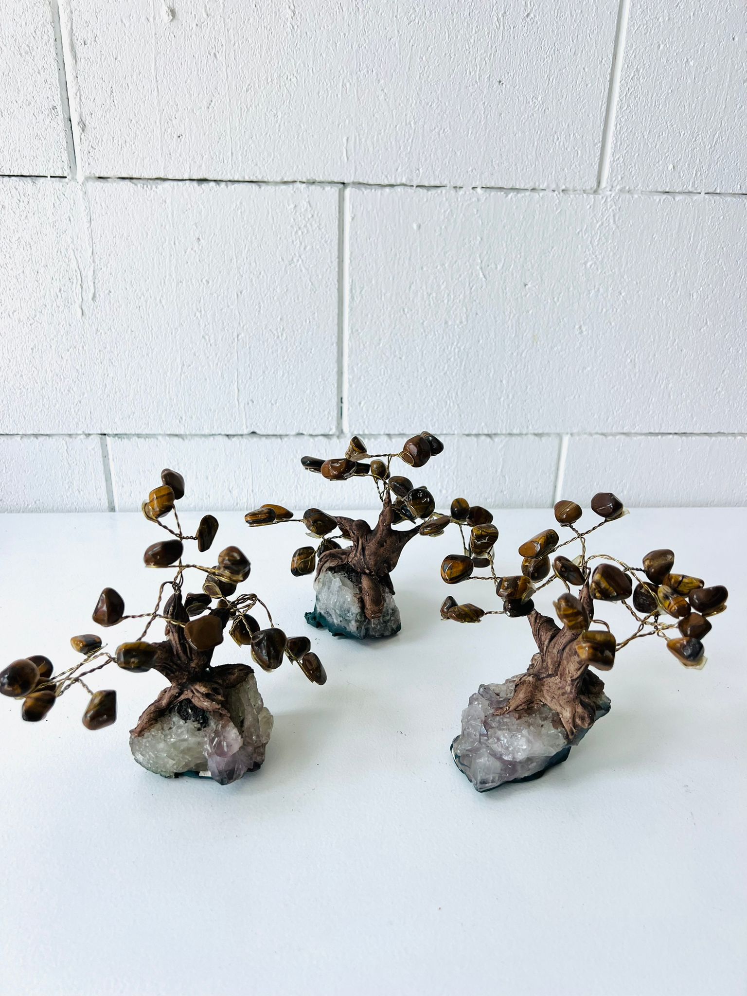 Tiger's Eye Tree